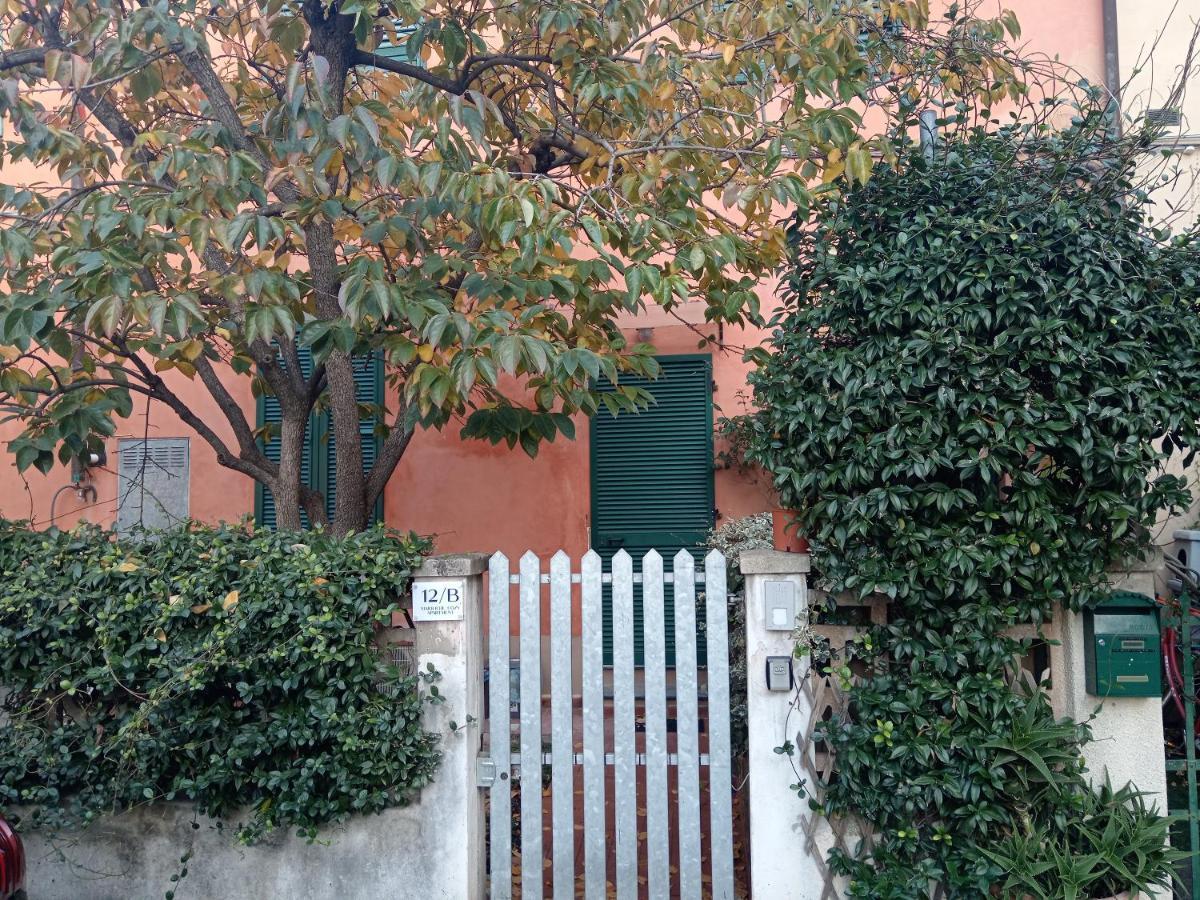 Maioliche Cozy Apartment Pisa Dış mekan fotoğraf
