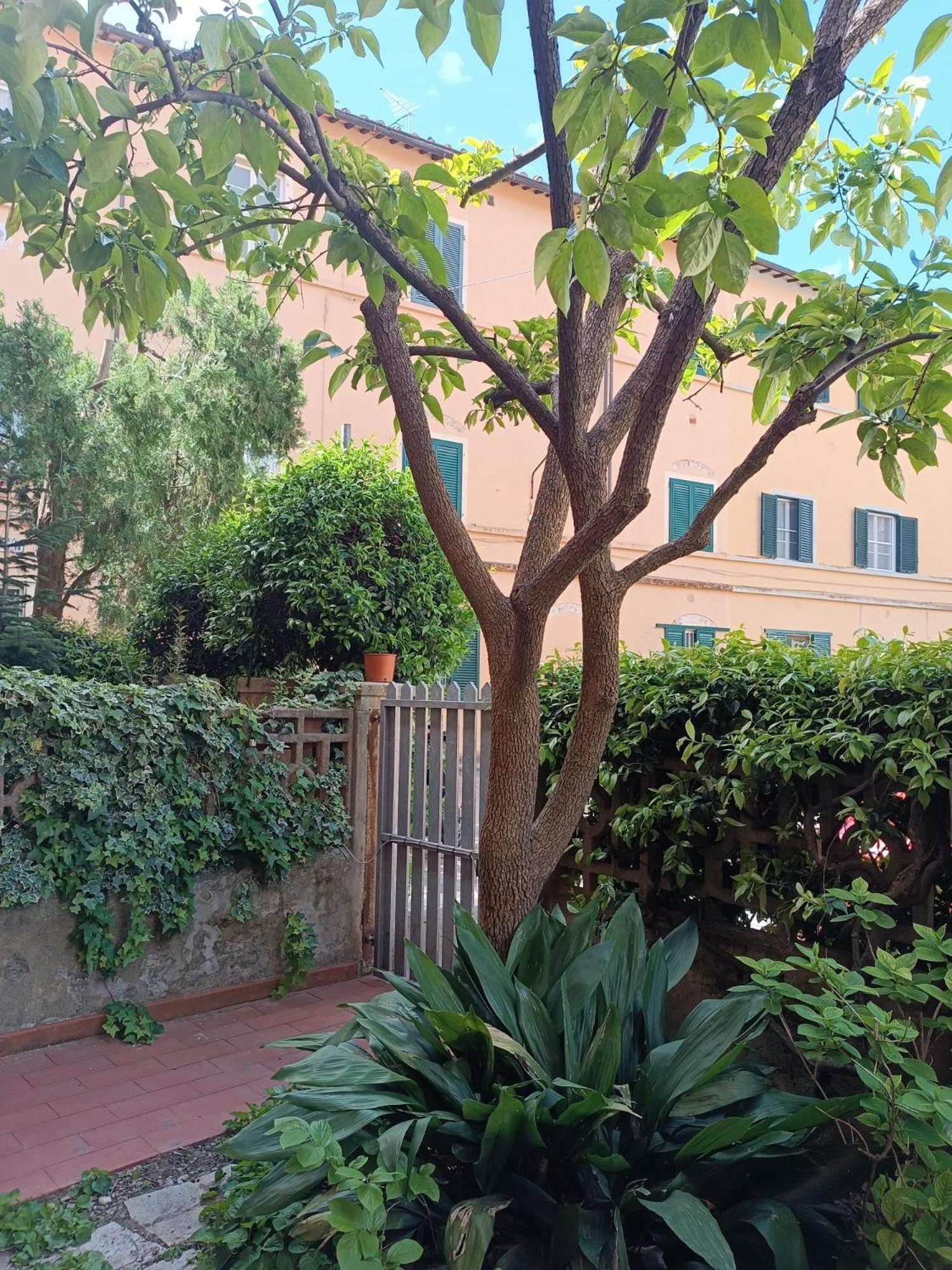 Maioliche Cozy Apartment Pisa Dış mekan fotoğraf